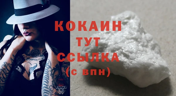 гидра Белоозёрский
