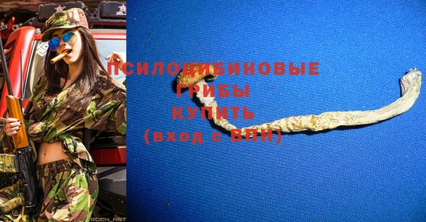 2c-b Белокуриха