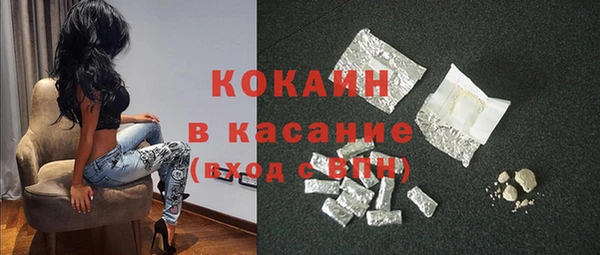 прущие грибы Беломорск