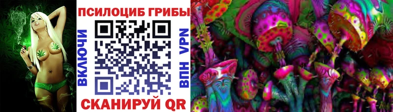 shop телеграм  Называевск  Галлюциногенные грибы GOLDEN TEACHER 