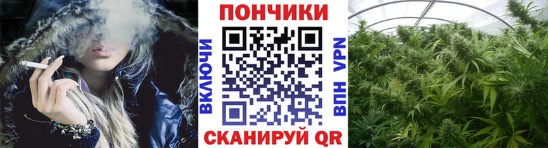 Конопля Bruce Banner  продажа наркотиков  Называевск 